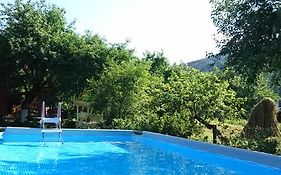 Дорога додому